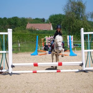 Le poney-club